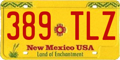 NM license plate 389TLZ