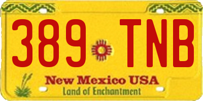 NM license plate 389TNB