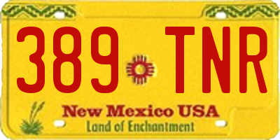 NM license plate 389TNR
