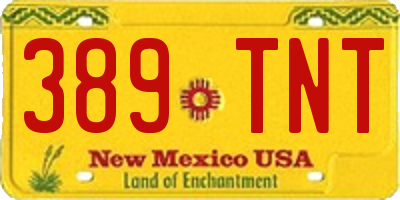 NM license plate 389TNT