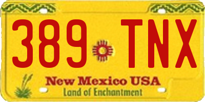 NM license plate 389TNX