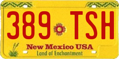 NM license plate 389TSH