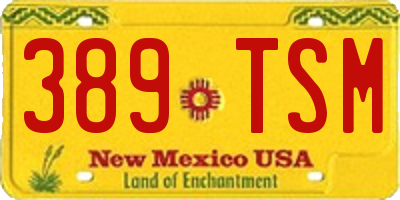 NM license plate 389TSM