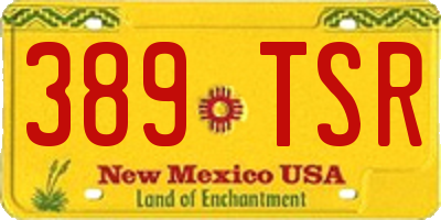 NM license plate 389TSR