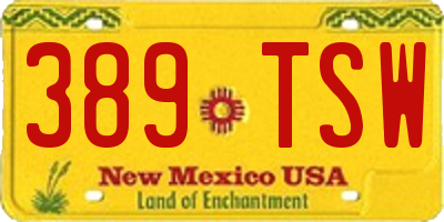 NM license plate 389TSW