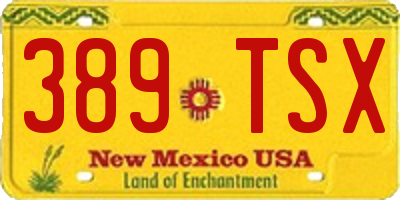 NM license plate 389TSX