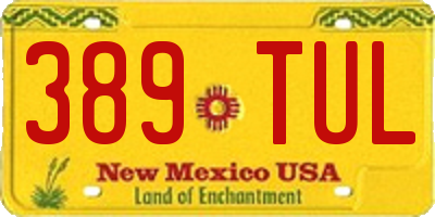 NM license plate 389TUL