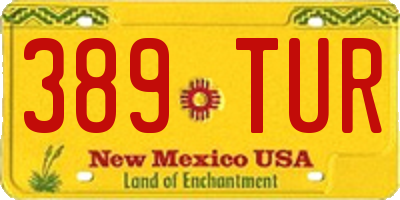 NM license plate 389TUR
