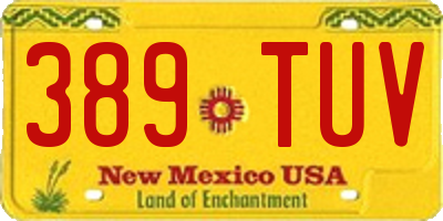 NM license plate 389TUV