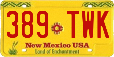 NM license plate 389TWK