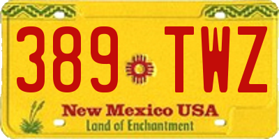 NM license plate 389TWZ