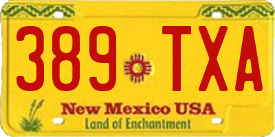 NM license plate 389TXA