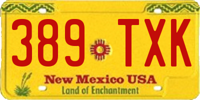 NM license plate 389TXK