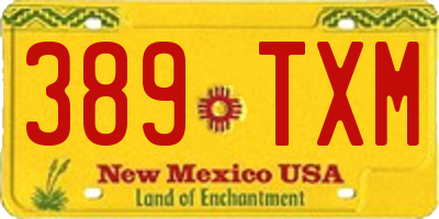 NM license plate 389TXM