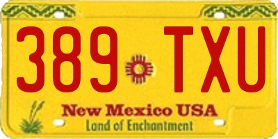 NM license plate 389TXU