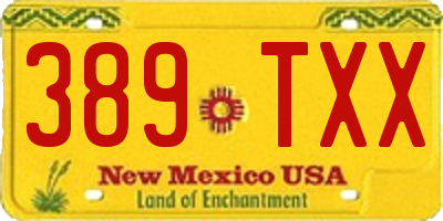 NM license plate 389TXX