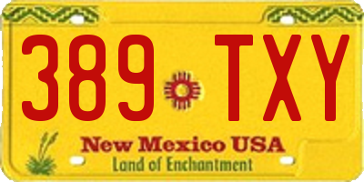 NM license plate 389TXY