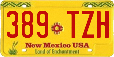 NM license plate 389TZH
