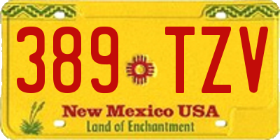 NM license plate 389TZV