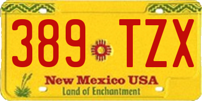 NM license plate 389TZX