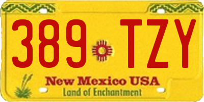 NM license plate 389TZY