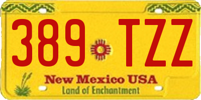 NM license plate 389TZZ