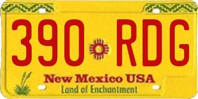 NM license plate 390RDG