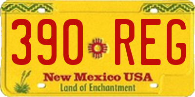 NM license plate 390REG