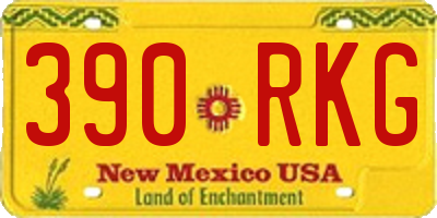 NM license plate 390RKG