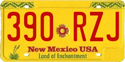 NM license plate 390RZJ