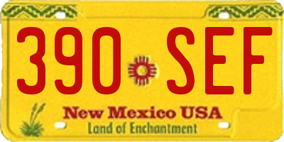 NM license plate 390SEF