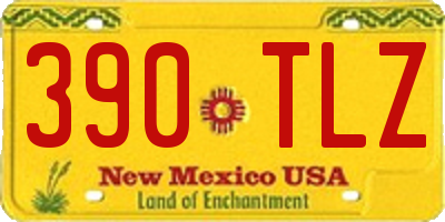 NM license plate 390TLZ