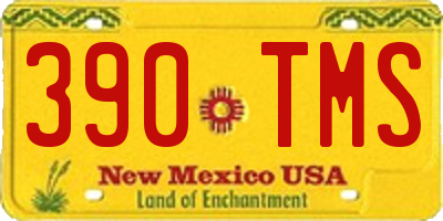 NM license plate 390TMS
