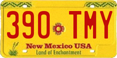 NM license plate 390TMY