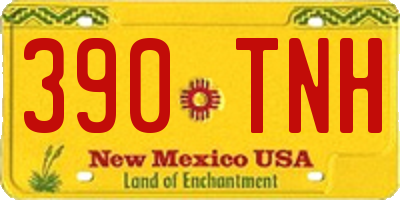 NM license plate 390TNH