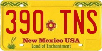 NM license plate 390TNS