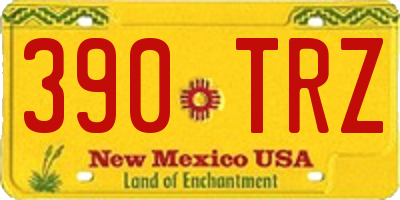 NM license plate 390TRZ