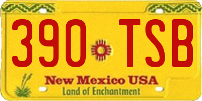 NM license plate 390TSB