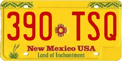 NM license plate 390TSQ