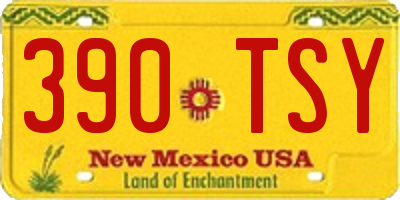 NM license plate 390TSY