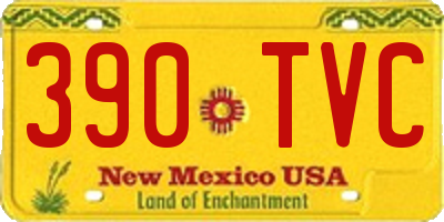 NM license plate 390TVC
