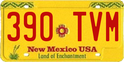 NM license plate 390TVM