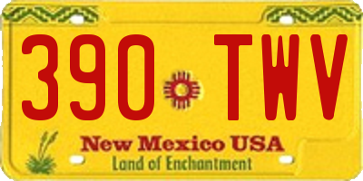 NM license plate 390TWV