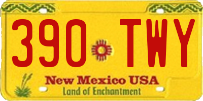 NM license plate 390TWY