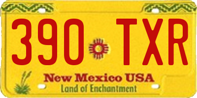 NM license plate 390TXR