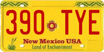 NM license plate 390TYE
