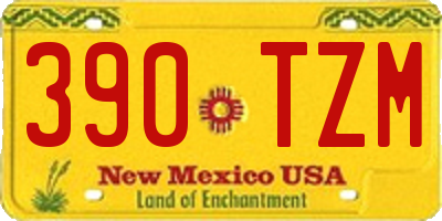 NM license plate 390TZM