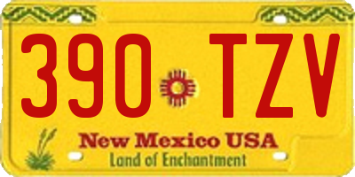 NM license plate 390TZV