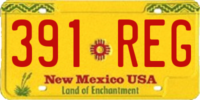 NM license plate 391REG