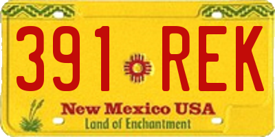 NM license plate 391REK